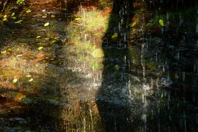 DSC_2815 (Large).JPG